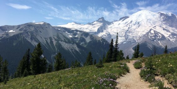 Aerial image of Mt. Rainier in Tacoma