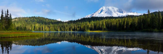 Aerial view of Port of Tacoma